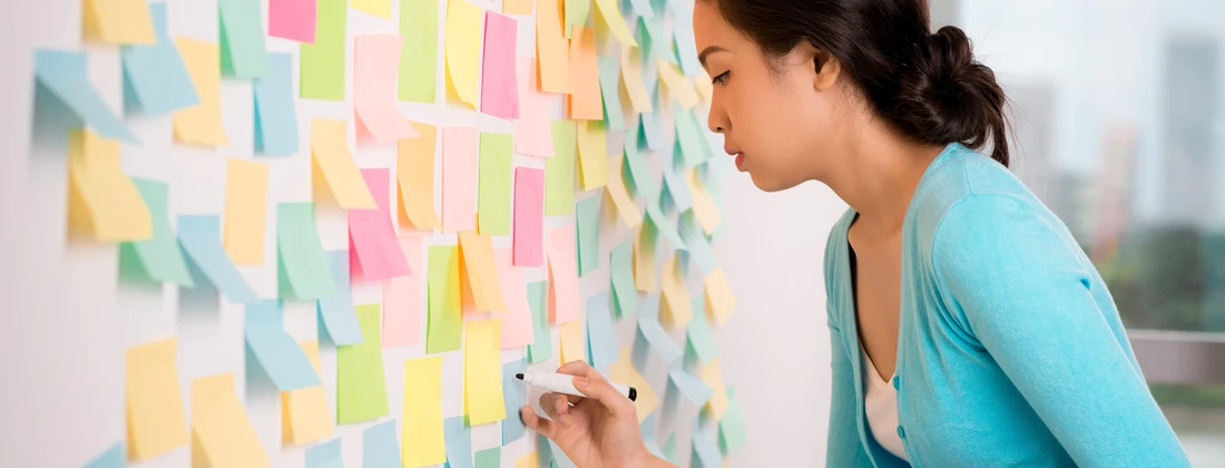 Microsoft OneNote Bild